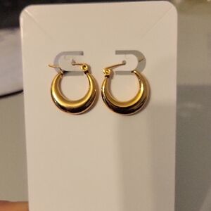 Golden Cresent Hoop Earrings